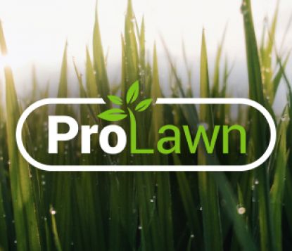 Pro Lawn